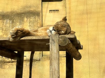 東武動物公園に投稿された画像（2024/12/27）