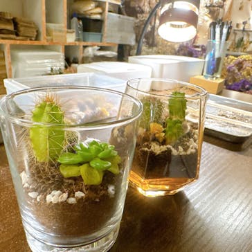 大阪手作り体験のLALALAPOに投稿された画像（2024/12/27）