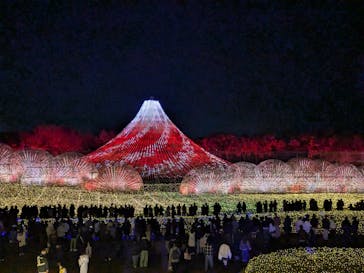 なばなの里に投稿された画像（2024/12/27）