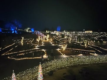 いばらきフラワーパークに投稿された画像（2024/12/27）