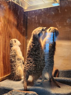 那須どうぶつ王国に投稿された画像（2024/12/27）