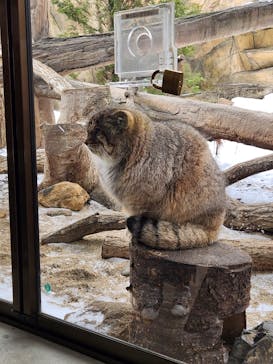 那須どうぶつ王国に投稿された画像（2024/12/27）