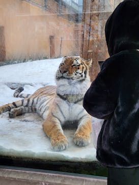 那須どうぶつ王国に投稿された画像（2024/12/27）