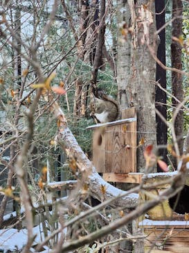那須どうぶつ王国に投稿された画像（2024/12/27）