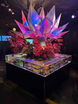 NARA KINGYO MUSEUMに投稿された画像（2024/12/27）