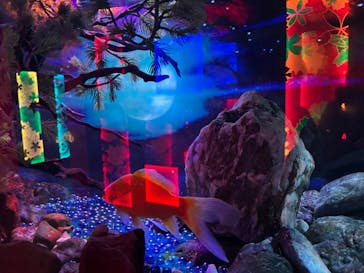 NARA KINGYO MUSEUMに投稿された画像（2024/12/27）