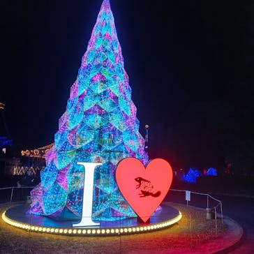 みろくの里に投稿された画像（2024/12/27）