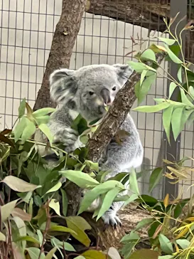 多摩動物公園に投稿された画像（2024/12/27）