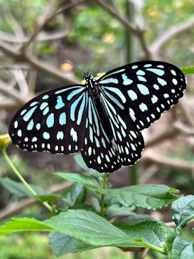 多摩動物公園に投稿された画像（2024/12/27）