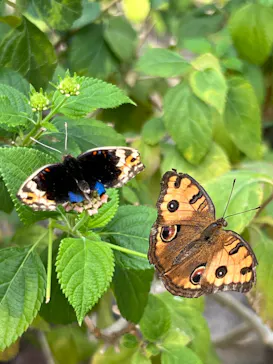 多摩動物公園に投稿された画像（2024/12/27）