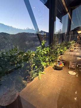 いばらきフラワーパークに投稿された画像（2024/12/27）