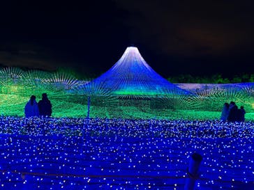 なばなの里に投稿された画像（2024/12/27）