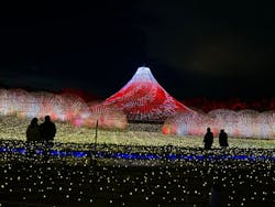 なばなの里に投稿された画像（2024/12/27）