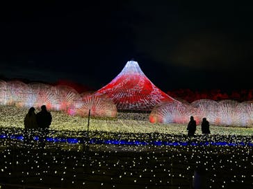 なばなの里に投稿された画像（2024/12/27）