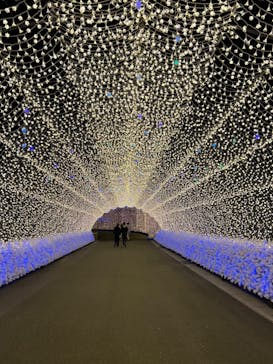 なばなの里に投稿された画像（2024/12/27）