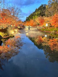 なばなの里に投稿された画像（2024/12/27）