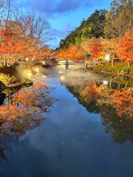 なばなの里に投稿された画像（2024/12/27）