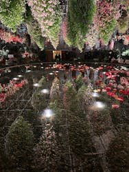 なばなの里に投稿された画像（2024/12/27）