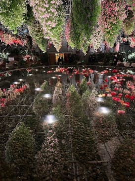 なばなの里に投稿された画像（2024/12/27）