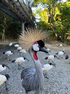 ネオパークオキナワに投稿された画像（2024/12/28）