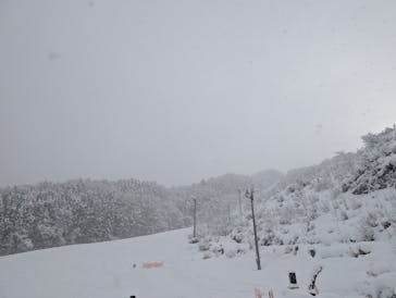 奥利根スノーパークに投稿された画像（2024/12/28）