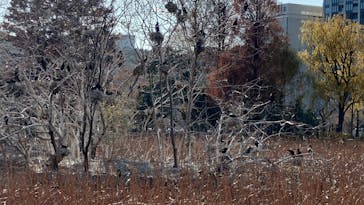 恩賜上野動物園に投稿された画像（2024/12/28）