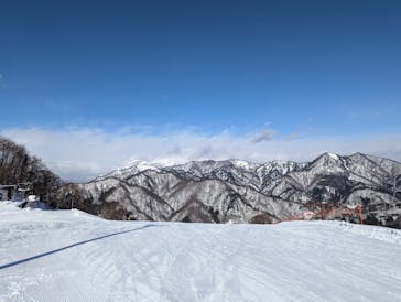 奥利根スノーパークに投稿された画像（2024/12/28）