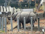名古屋市東山動植物園に投稿された画像（2024/12/28）