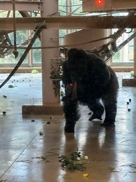 名古屋市東山動植物園に投稿された画像（2024/12/28）