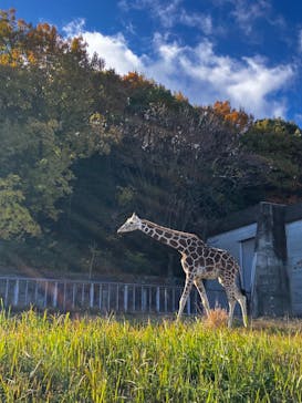 名古屋市東山動植物園に投稿された画像（2024/12/28）