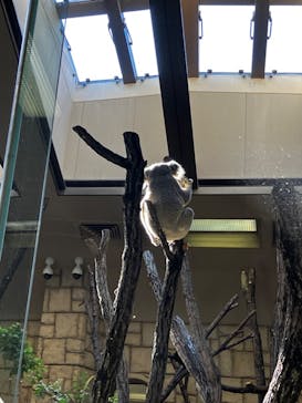 名古屋市東山動植物園に投稿された画像（2024/12/28）