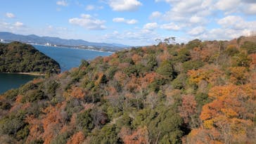 浜名湖パルパルに投稿された画像（2024/12/28）