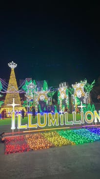 さがみ湖MORI MORIに投稿された画像（2024/12/28）