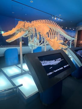 名古屋港水族館に投稿された画像（2024/12/28）