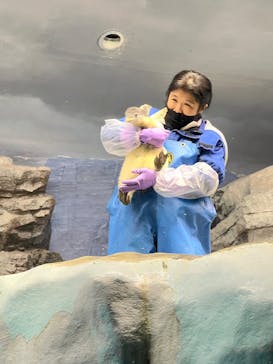 名古屋港水族館に投稿された画像（2024/12/28）