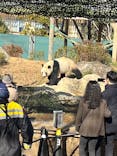 恩賜上野動物園に投稿された画像（2024/12/28）