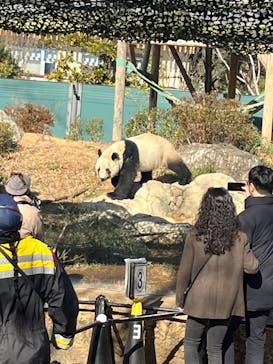 恩賜上野動物園に投稿された画像（2024/12/28）