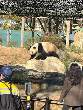 恩賜上野動物園に投稿された画像（2024/12/28）