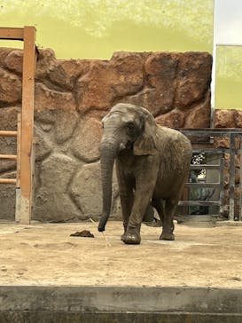 東武動物公園に投稿された画像（2024/12/28）