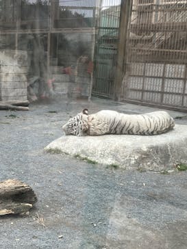 東武動物公園に投稿された画像（2024/12/28）