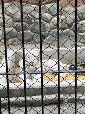 東武動物公園に投稿された画像（2024/12/28）