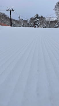 志賀高原焼額山スキー場に投稿された画像（2024/12/28）