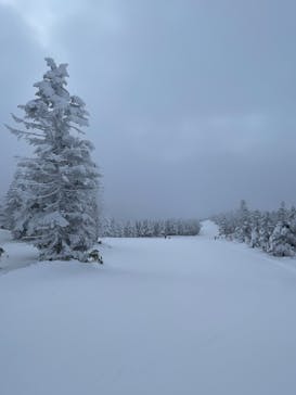 志賀高原焼額山スキー場に投稿された画像（2024/12/28）