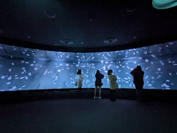 サンシャイン水族館に投稿された画像（2024/12/28）