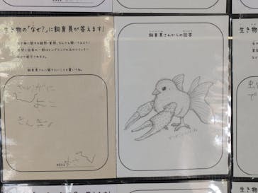 淡路ファームパーク イングランドの丘に投稿された画像（2024/12/28）