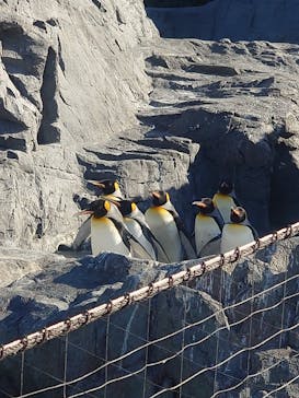 葛西臨海水族園に投稿された画像（2024/12/28）