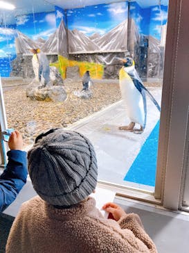 越前松島水族館に投稿された画像（2024/12/28）