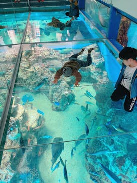 越前松島水族館に投稿された画像（2024/12/28）