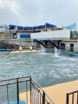 越前松島水族館に投稿された画像（2024/12/28）