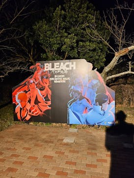 ニジゲンノモリに投稿された画像（2024/12/28）